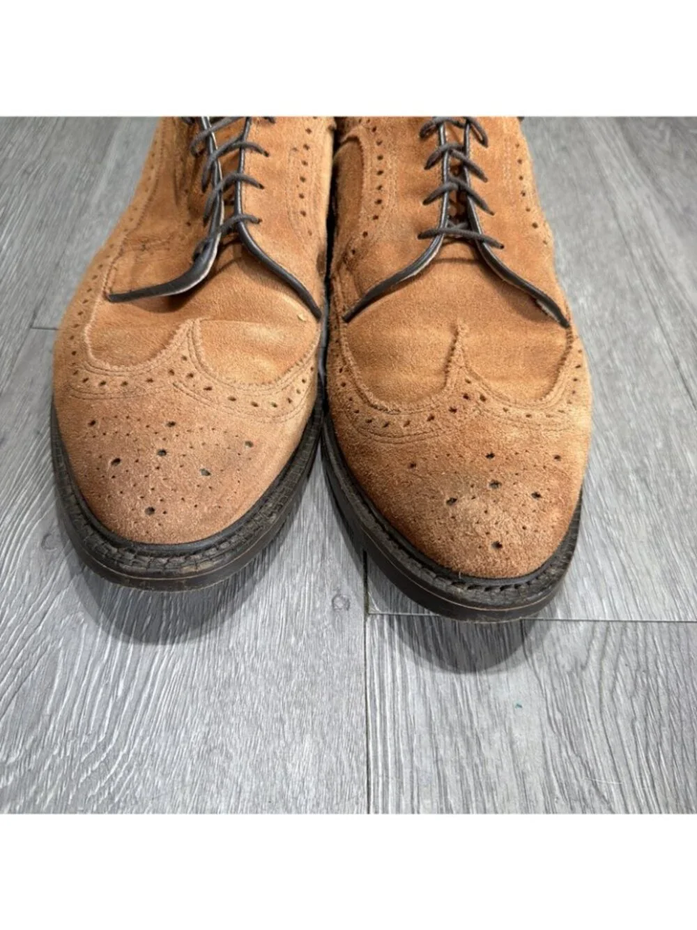 Allen Edmonds Schautel Brown Suede McNeil Wingtip Dress Shoes Men Sz 9.5 D USA
